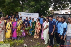 Nutritional plant Plantation. 2.9.2021