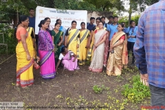 Nutritional plant Plantation. 2.9.2021