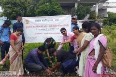 Nutritional plant Plantation. 2.9.2021